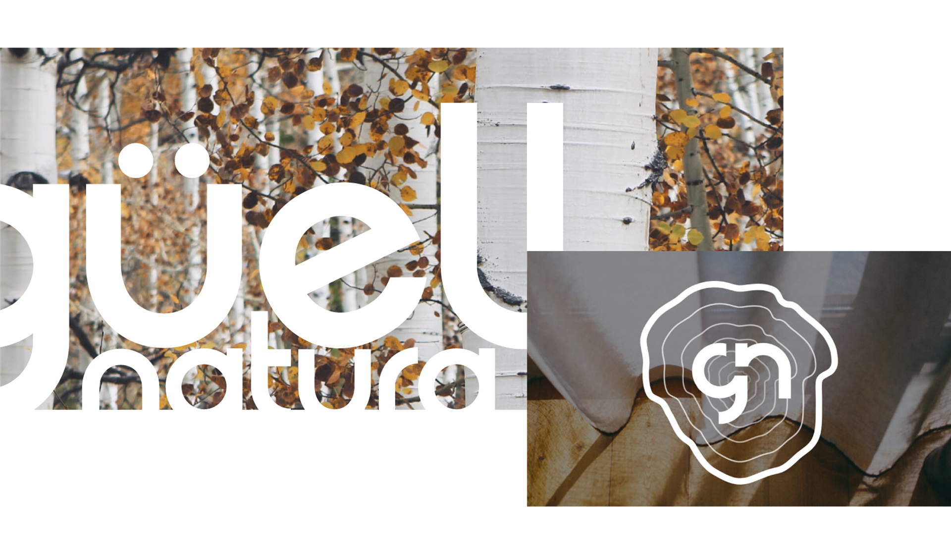 guellnatura-concepte