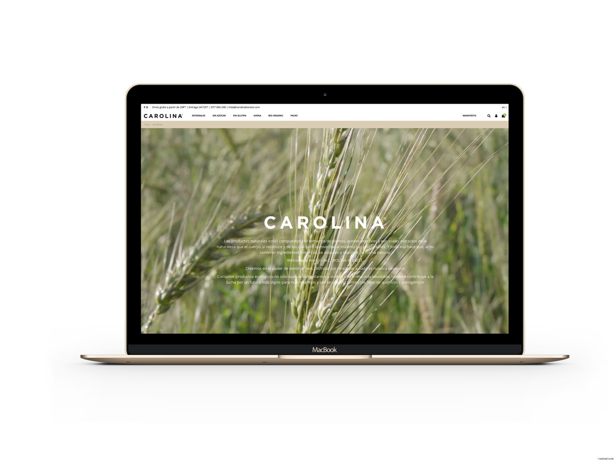 Diseño de tienda online en Tarragona Diseño de tienda online en Tarragona