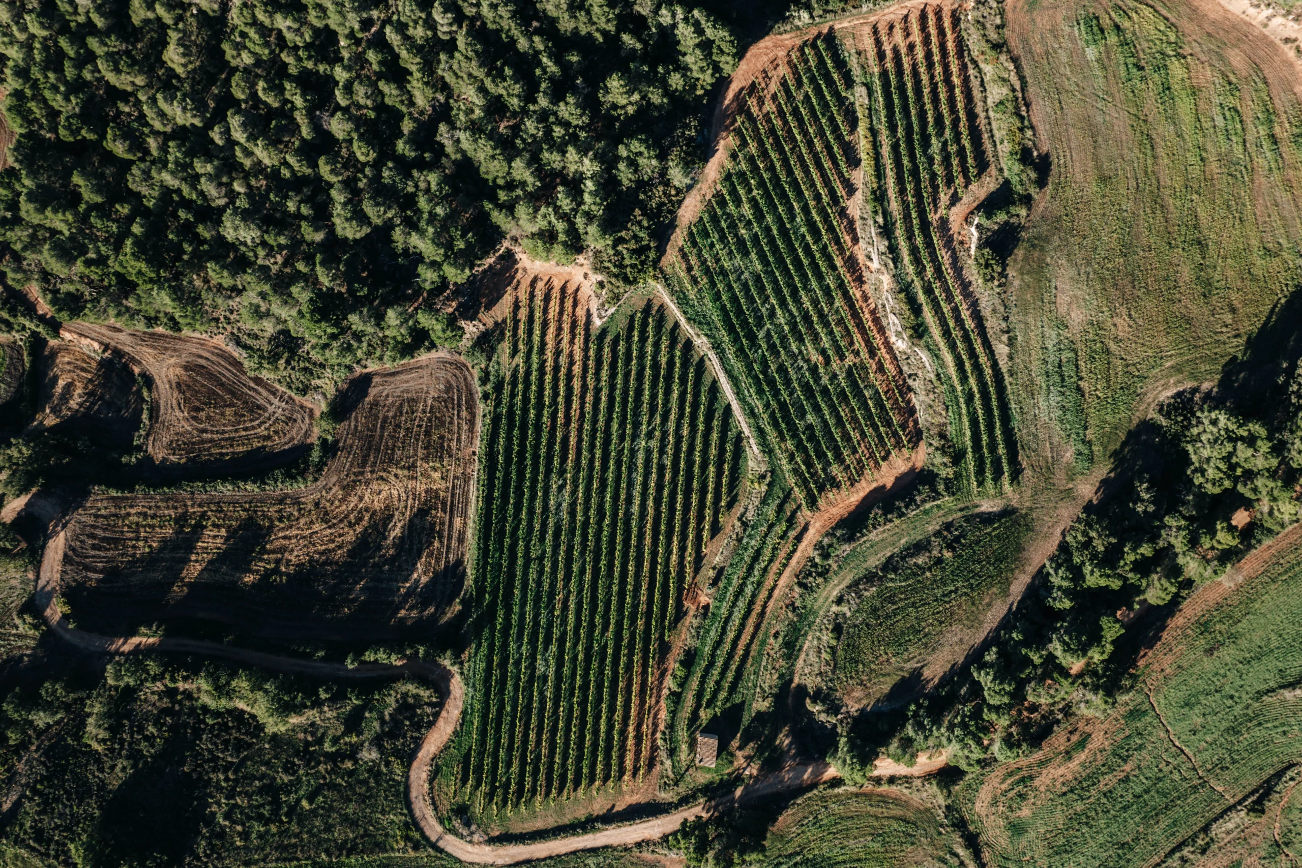 Fotografía con drone